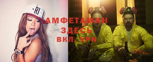 гидра Богородск