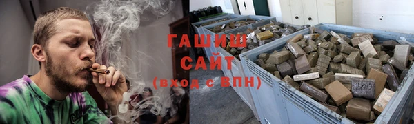 гидра Богородск