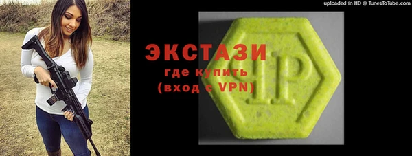 гидра Богородск