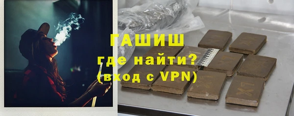 гидра Богородск