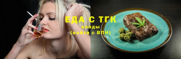 гидра Богородск