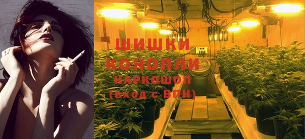 соль ск Богородицк