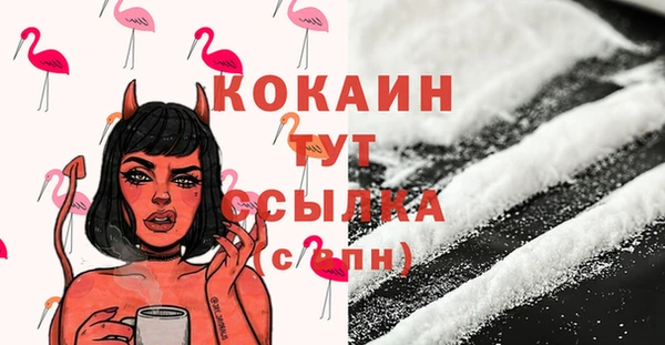 соль ск Богородицк