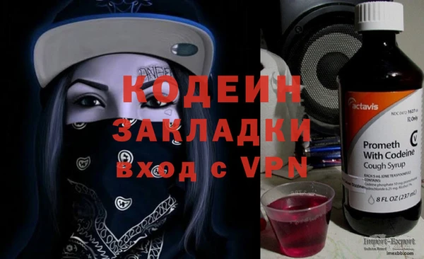 гидра Богородск